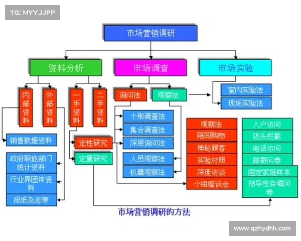 隐匿洞穴行动战略部署的关键要素及其实施效果分析 隐匿洞穴行动战略部署的关键要素及其实施效果分析