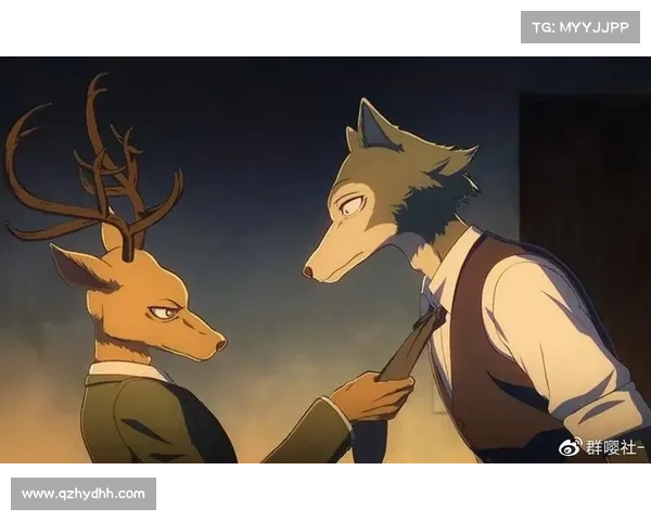 如何才能打动朱迪的心并成功追求她的方法与技巧